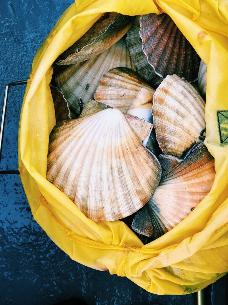 pcos recipes - seashells in a bag